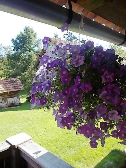 Rustic Home Mia Duga Resa Szoba fotó