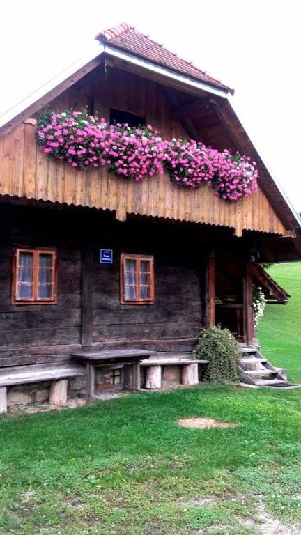 Rustic Home Mia Duga Resa Kültér fotó